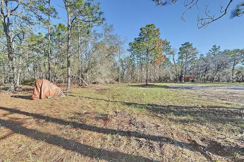 Cleared Land in Homosassa, FL