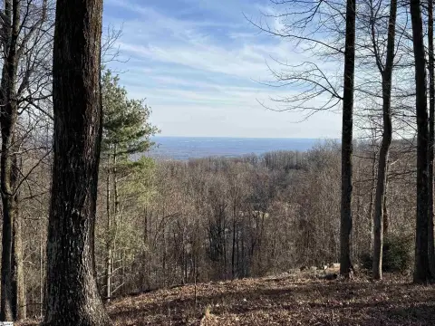 Landrum, SC Residential Lot