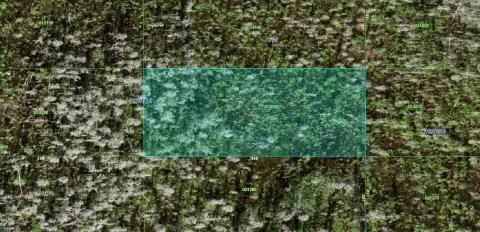 Vacant Land in Polk City