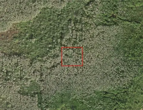 Private Hunting Land in Holopaw