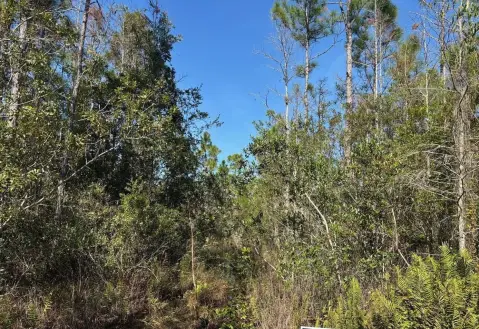 St. Cloud Hunting/Camp Land