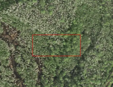 Holopaw Acreage for Recreation