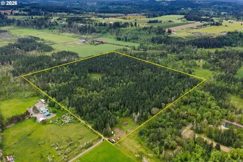 Forested Land Near Clackamas River