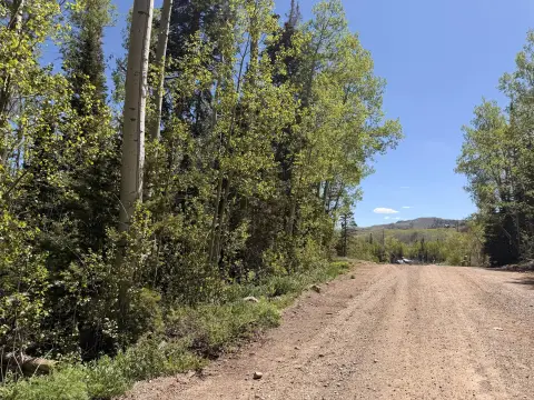 Forested Residential Land Lot