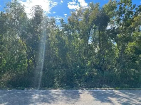 Vacant Hunting Land Parcel