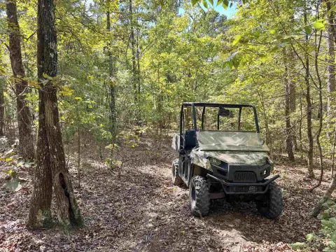 Wooded Recreational Land
