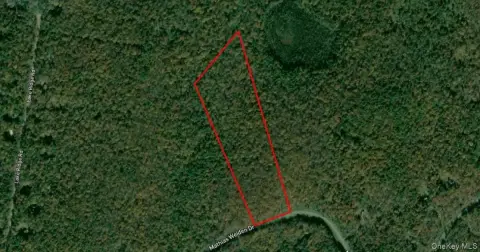 30-Acre Wooded Parcel in Narrowsburg