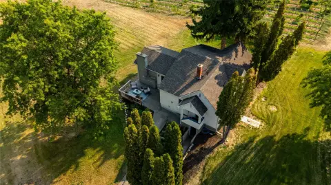 Producing Vineyard Property