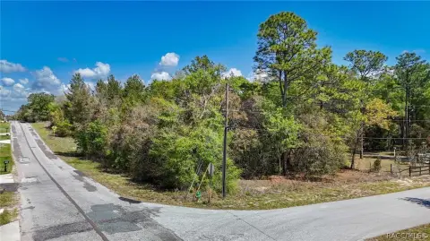 Residential Land in Hernando, FL