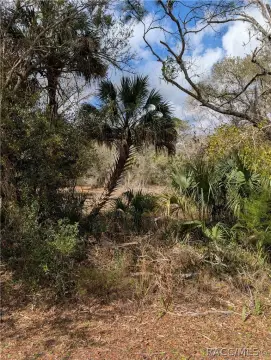 Inglis, FL Land Parcel