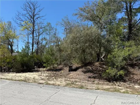 Citrus Springs Land For Sale
