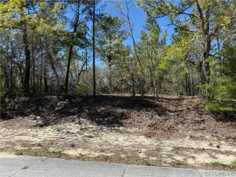 Residential Lot in Citrus Springs