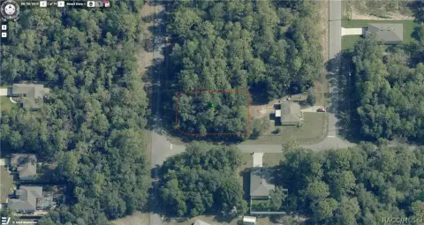 Citrus Springs Vacant Land Parcel