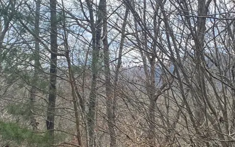 Wooded Lot with Mountain Views