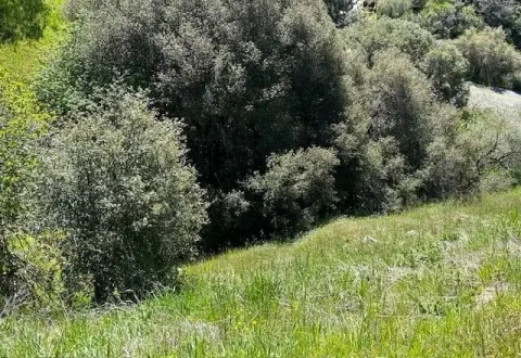 Land with Fantastic Views