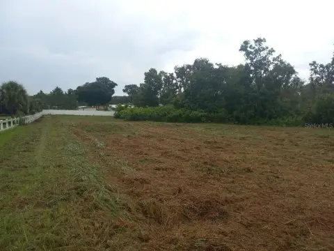 6.7 Acres Estate-Sized Lot