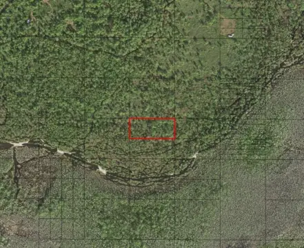 Recreational Land in Holopaw Groves