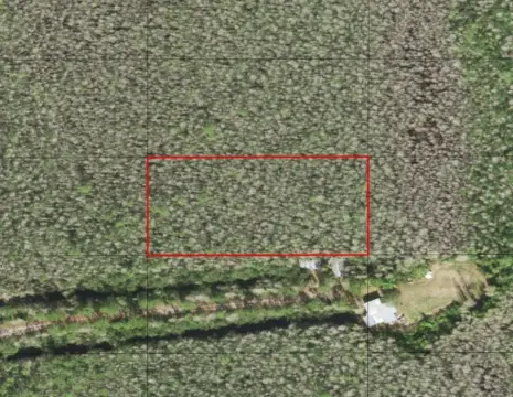 Recreational Land in Holopaw Estates