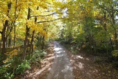 Wooded Residential Acreage Homesite