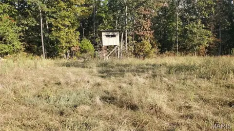 Hunting Timberland Tract