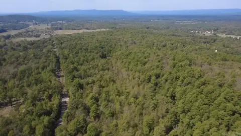 Wooded Recreational Land