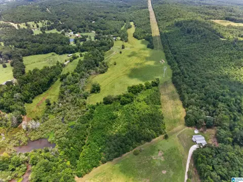 Unrestricted Wooded Development Tract