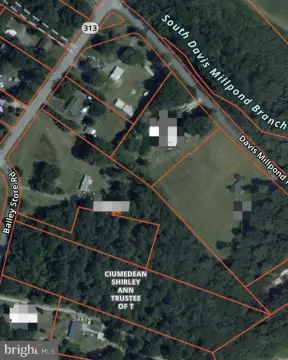 Wooded Lot in Federalsburg, MD