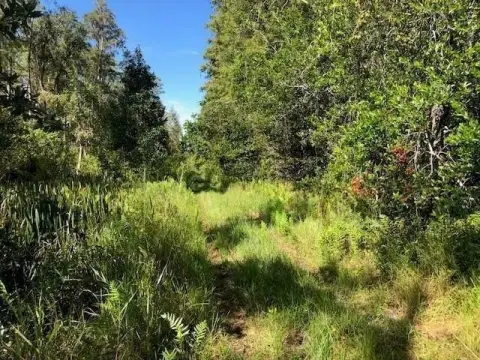 Polk City Hunting Land
