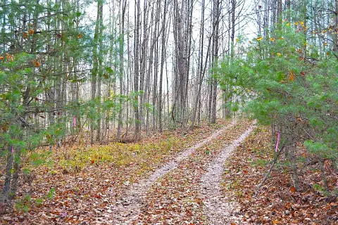 93 Acres Untouched Paradise