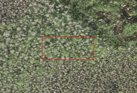 Secluded Land in St. Cloud