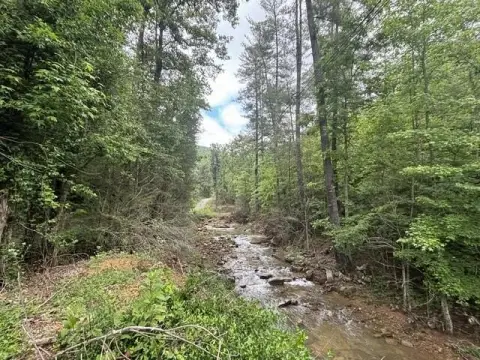 Wooded Waterfront Acreage with Views