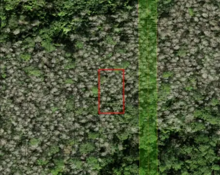 Recreational Land in St. Cloud