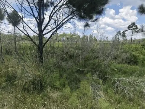 Hunting/Camping Lot in Frostproof, FL