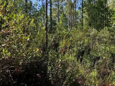 Polk City Recreational Land
