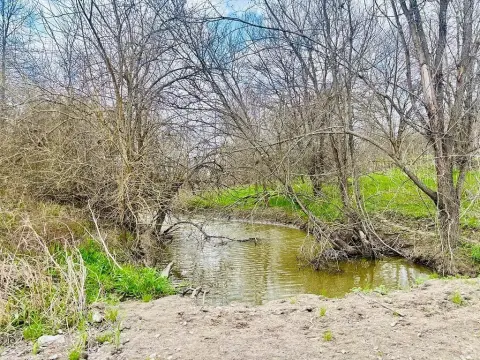 Large Acreage Tract with Build Site