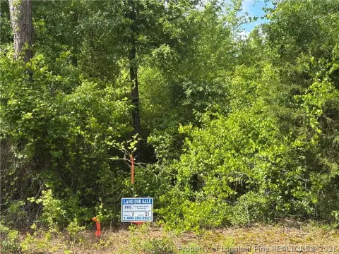 Wooded Lot with Road Frontage