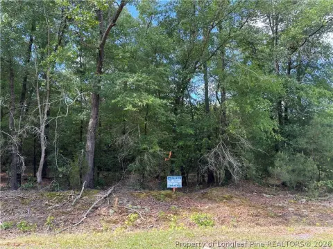 Wooded Land Parcel with Road Frontage