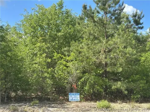Wooded Residential Development Lot