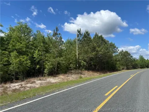 Wooded Development Lot with Road Frontage
