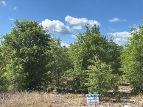 Wooded Development Lot with Road Frontage