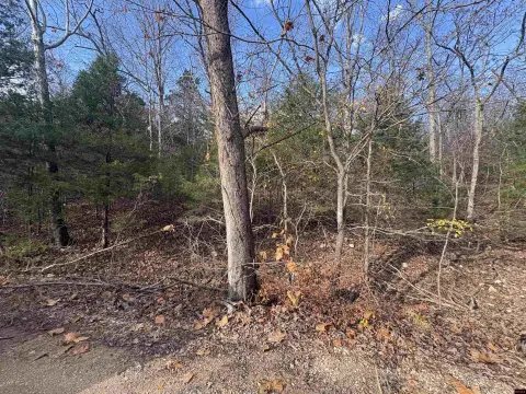 Land Near Lake Norfork