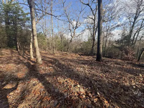 Land Near Lake Norfork