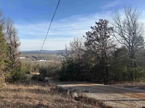 Wooded Acreage with Vista Views