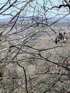 Ozark Hunting Land Near Lake