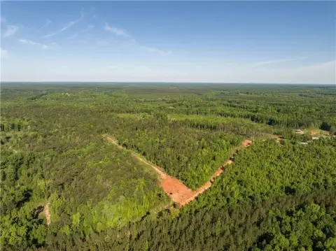 9.30-Acre Homesite in Opelika, AL