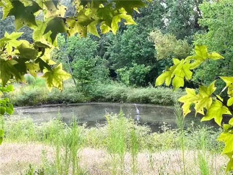 Land in Opelika, Alabama