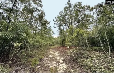 Gaston SC 10.52 Acreage