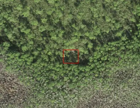 Land in Holopaw, St. Cloud