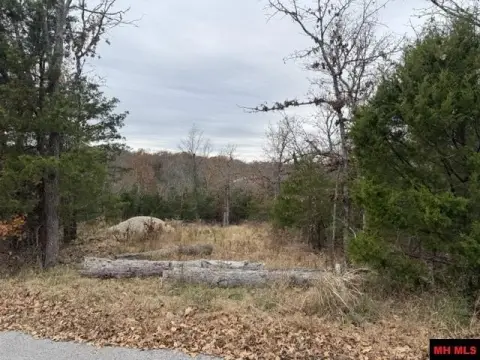 Cleared Lot in Wildwood Subdivision