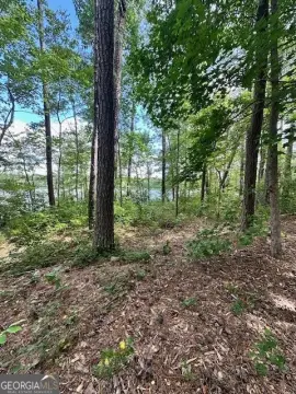 Lakefront Land in Newnan, Georgia